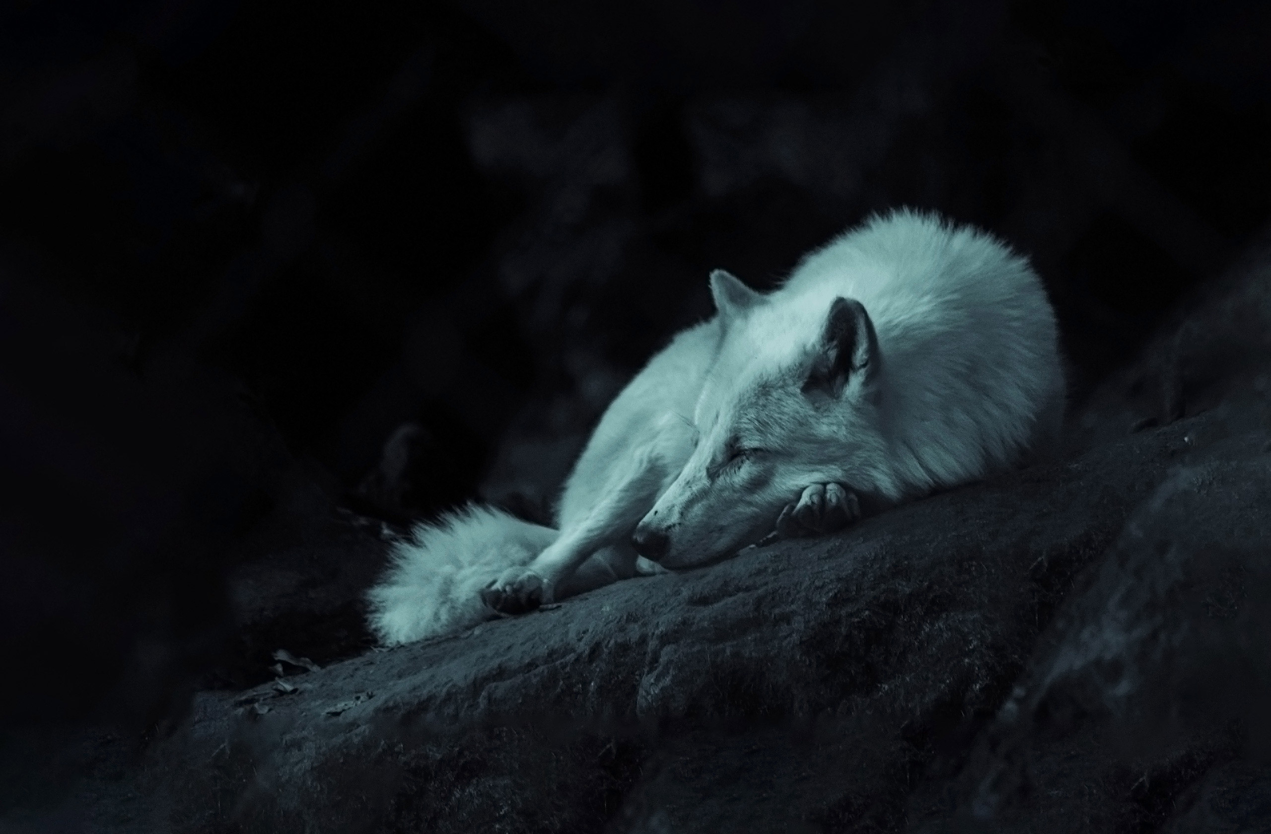 Sagewerk Webdesign Bad Neuenahr Ahrweiler erstellt Webseiten in der Eifel